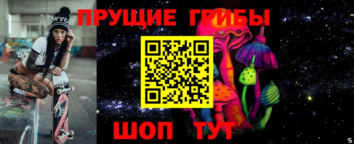 Семёнов  Галлюциногенные грибы Psilocybine cubensis  Вход с VPN 