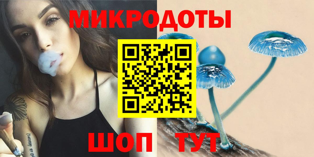 Псилоцибиновые грибы Psilocybe Семёнов
